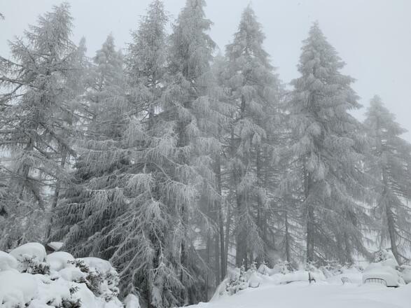 7b%WmEk2SqKxA5XOa2QqHw