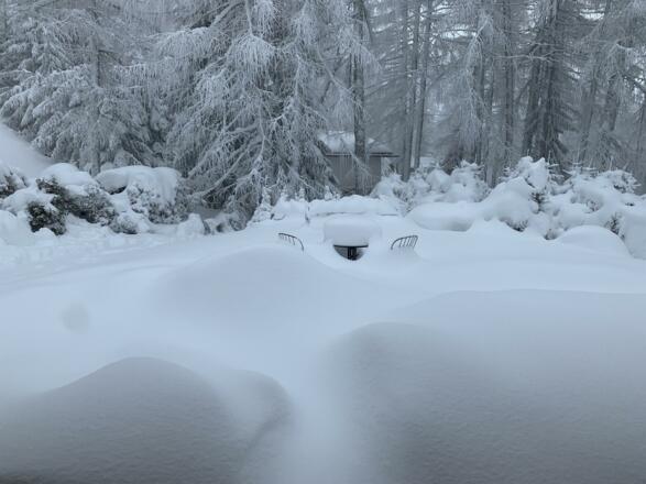 5E6vvJsfSZCHn217dEgYOw