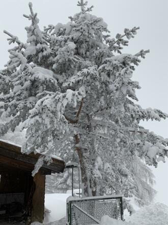 yAtegBUMS%GvrhuHgdFkLg