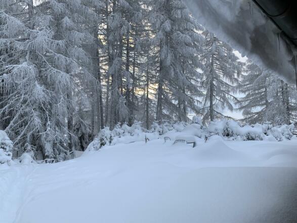 pxaijTcYTO+HjmHkX7NG8A