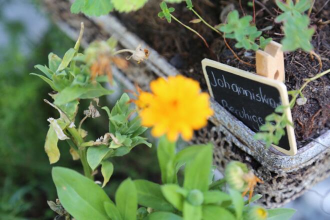 Kräuterweg &quot;Probiar Amol&quot; - Sabine Kössler