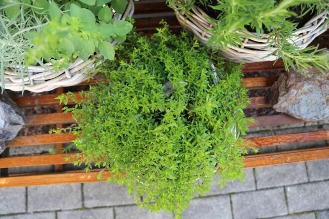 Kräuterweg "Probiar Amol" - Irene Montibeller