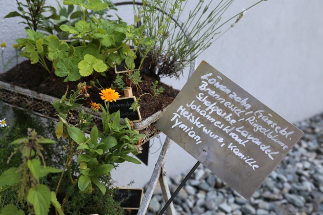 Kräuterweg &quot;Probiar Amol&quot; - Sabine Kössler