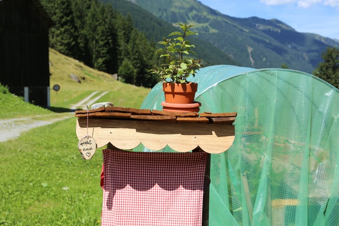 Kräuterweg "Probiar Amol" - Margit Klehenz