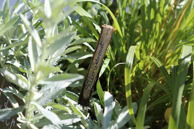 Kräuterweg "Probiar Amol" - Marlies Schöpf