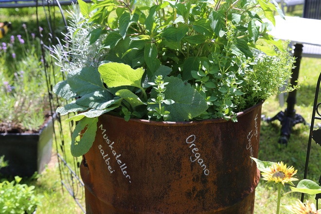 Kräuterweg "Probiar Amol" - Tajana Riegler