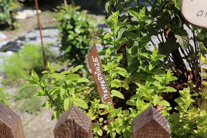 Kräuterweg "Probiar Amol" - Haus Berta