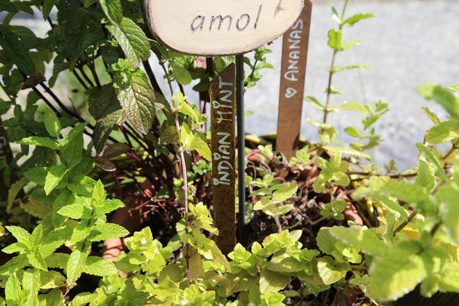 Kräuterweg "Probiar Amol" - Haus Berta