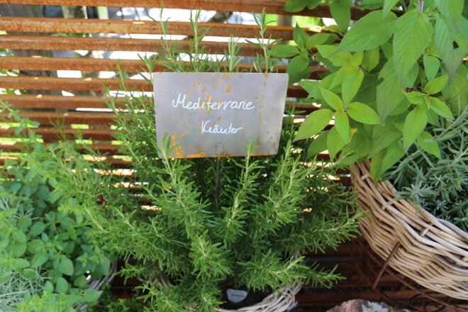 Kräuterweg "Probiar Amol" - Irene Montibeller