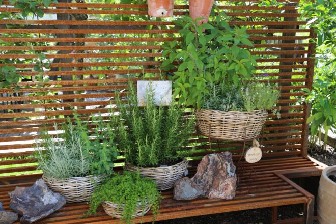 Kräuterweg "Probiar Amol" - Irene Montibeller