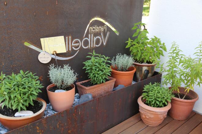 Kräuterweg "Probiar Amol" - Pension Valbella