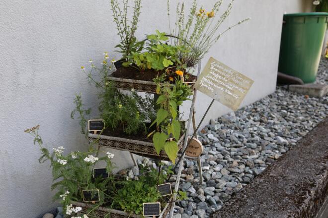 Kräuterweg &quot;Probiar Amol&quot; - Sabine Kössler