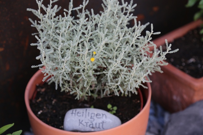 Kräuterweg "Probiar Amol" - Pension Valbella