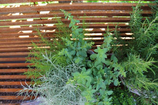 Kräuterweg "Probiar Amol" - Irene Montibeller