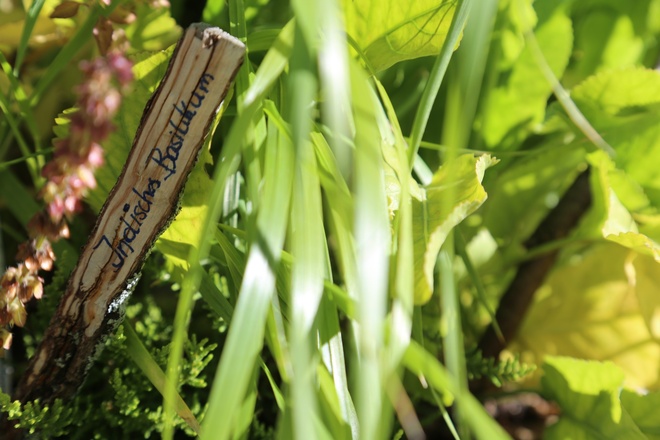 Kräuterweg "Probiar Amol" - Marlies Schöpf