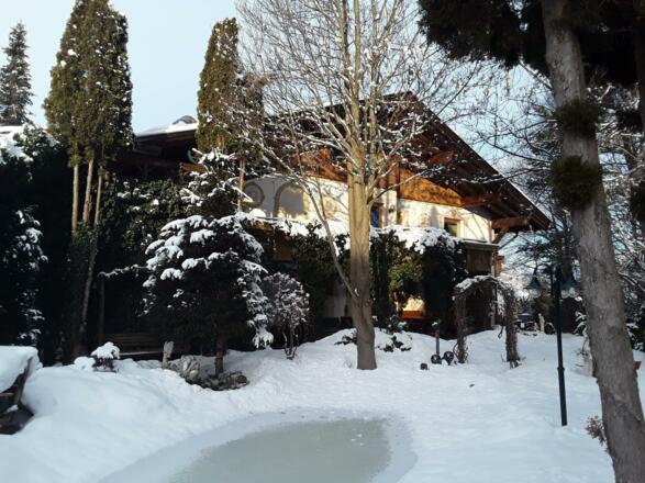 51246635_397211277756420_3518425990428622848_n