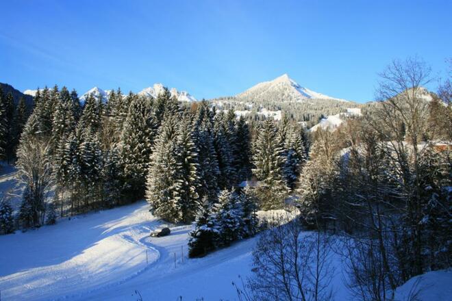 Aussicht vom Balkon