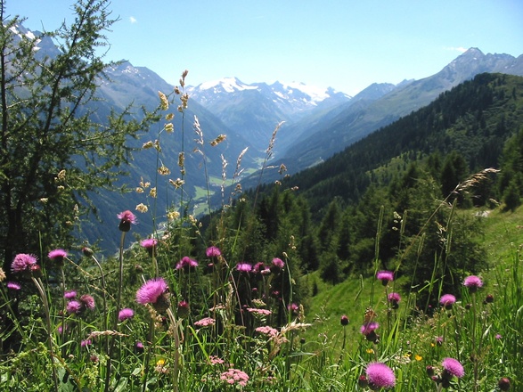 Yoga Energieplatz Franz-Senn-Hütte