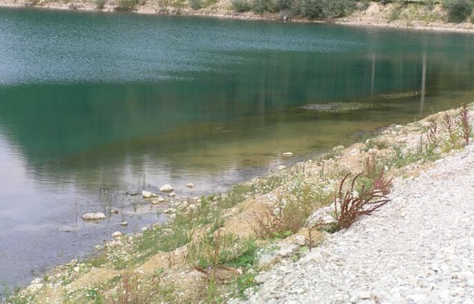 Schotterabbau in der Ringelau