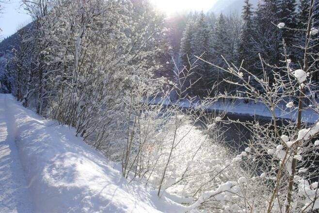 Winter3
