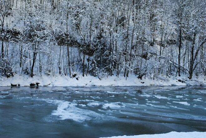 Winter1