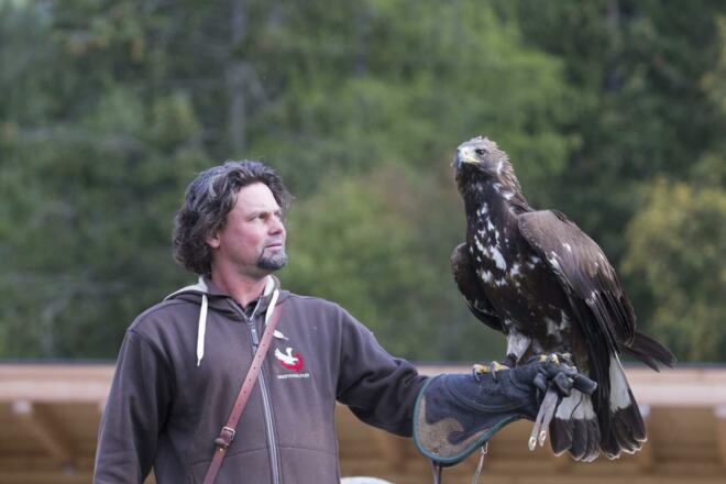 Umhausen-Greifvogelpark