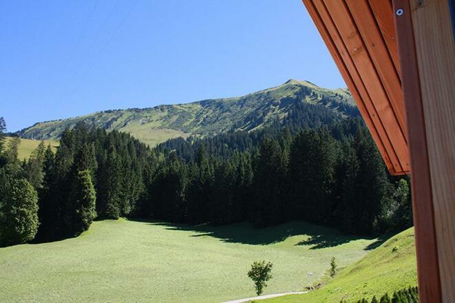 Blick_aus_Fenster