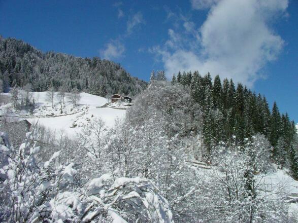 395406_10150695338140289_918453782_n