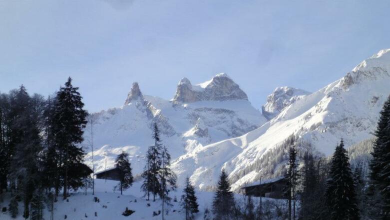 430658_10150681673850289_1468295939_n