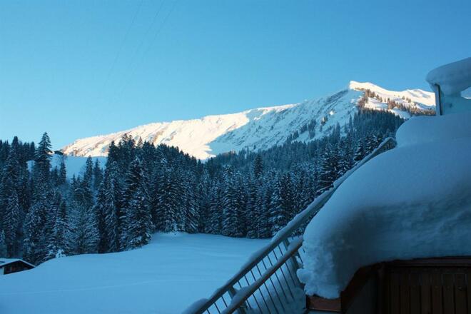 Villa-Vertikal_Winter_hinterm_Haus4