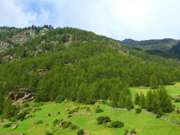 Ausblick vom Stiegenaufgang