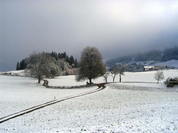 Der Herbst neigt sich dem Ende zu