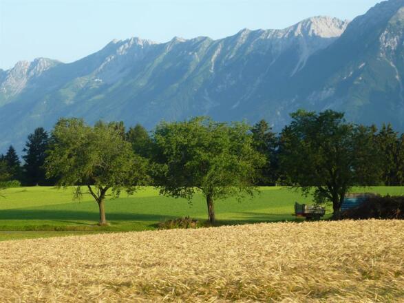 Haus Mesmer Spätsommer