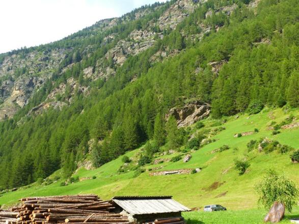 Ausblick vom Stiegenaufgang