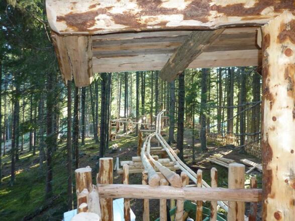 beliebt bei Jung und Alt-der Kugelwald