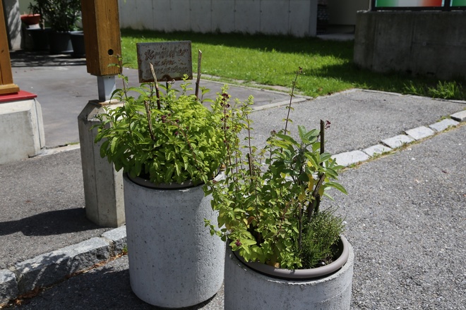 Kräuterweg "Probiar Amol" - Sport Stöckl