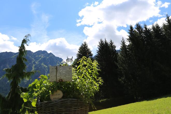 Kräuterweg "Probiar Amol" - Haus Surava