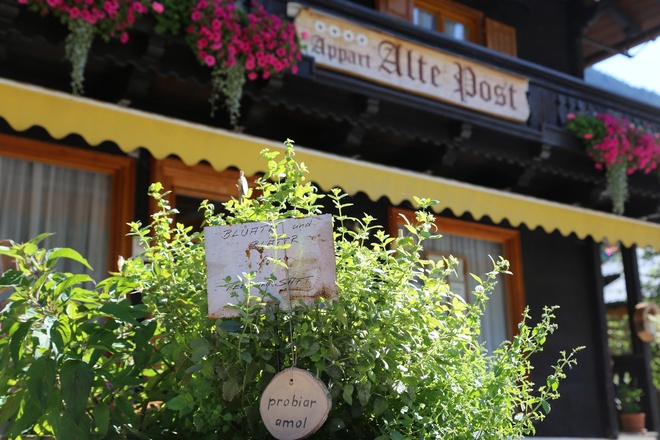 Kräuterweg "Probiar Amol" - Apart Alte Post