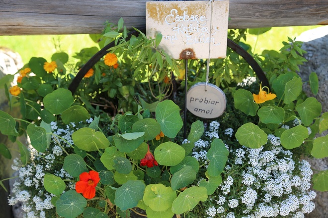 Kräuterweg "Probiar Amol" - Pension Christophorus