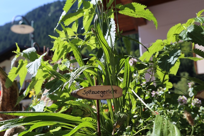 Kräuterweg "Probiar Amol" - Elfi Ganahl