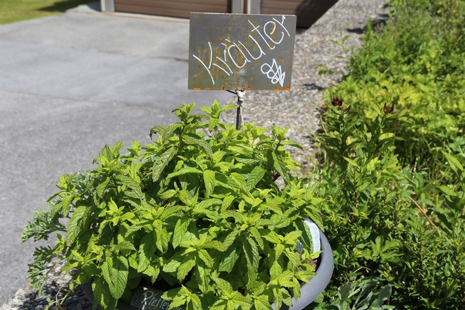 Kräuterweg "Probiar Amol" - Gerhard Blaas