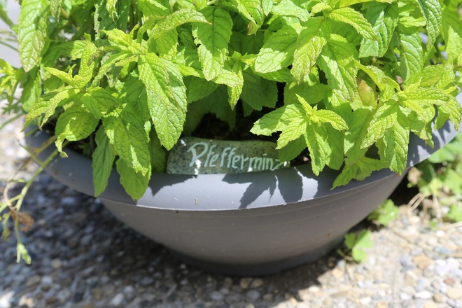 Kräuterweg "Probiar Amol" - Gerhard Blaas