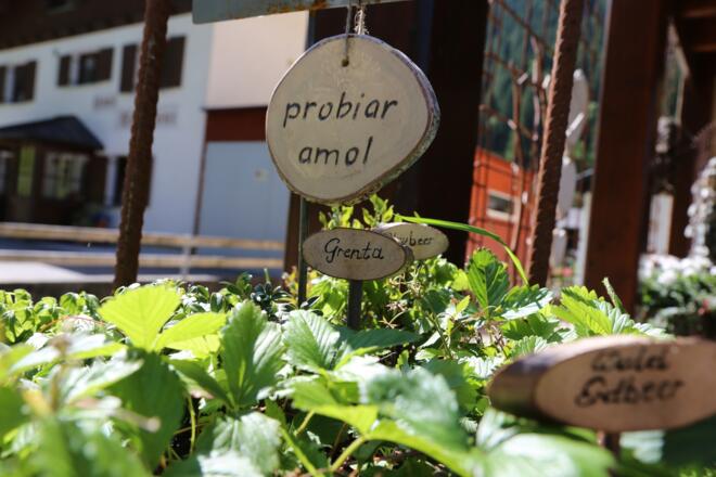 Kräuterweg &quot;Probiar Amol&quot; - Pension Tirolerhof