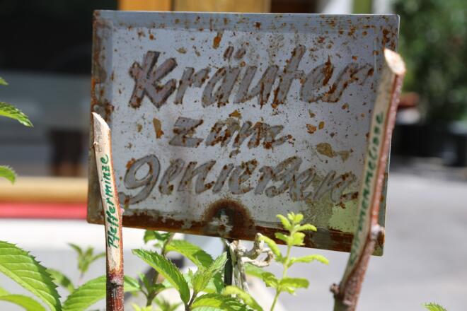 Kräuterweg "Probiar Amol" - Sport Stöckl