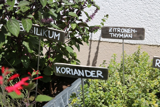 Kräuterweg "Probiar Amol" - Helene Wakolbinger