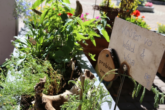 Kräuterweg "Probiar Amol" - Elfi Ganahl