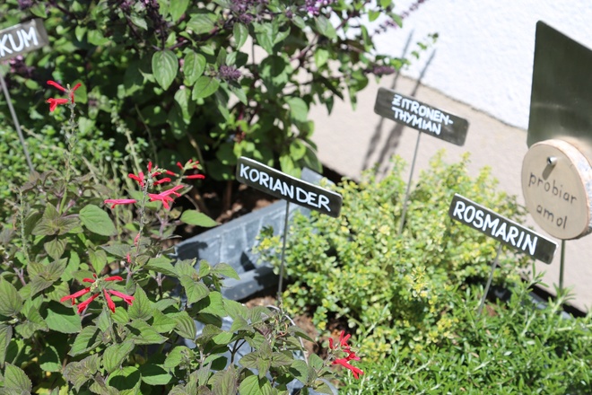 Kräuterweg "Probiar Amol" - Helene Wakolbinger