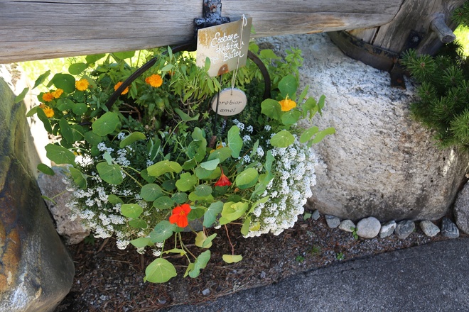 Kräuterweg "Probiar Amol" - Pension Christophorus