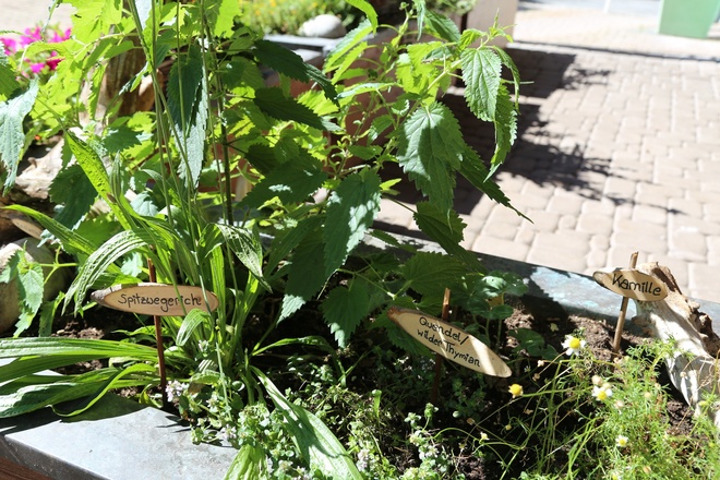 Kräuterweg "Probiar Amol" - Elfi Ganahl