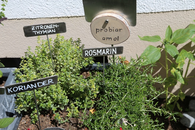 Kräuterweg "Probiar Amol" - Helene Wakolbinger